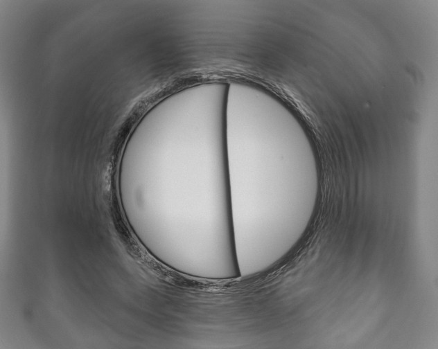 X0000111240543200907021001