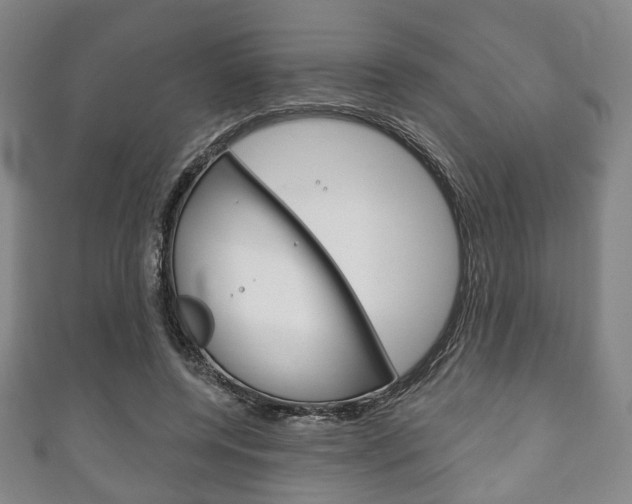 X0000111240544200907021001