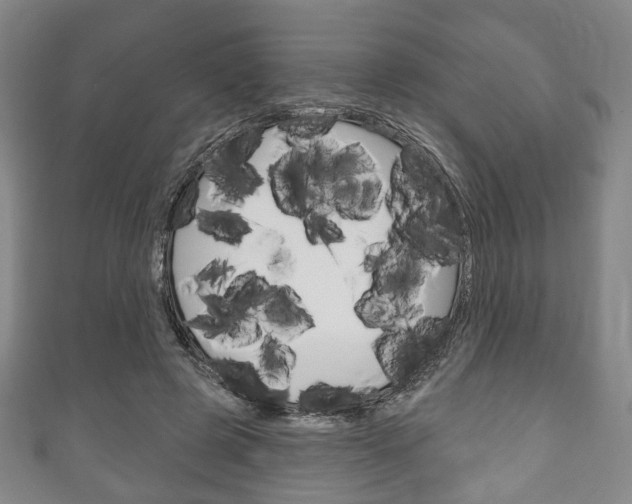X0000111240545200907021001
