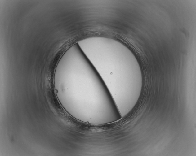 X0000111240547200907021001