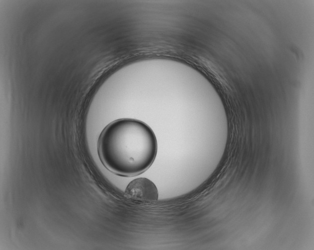 X0000111240548200907021001