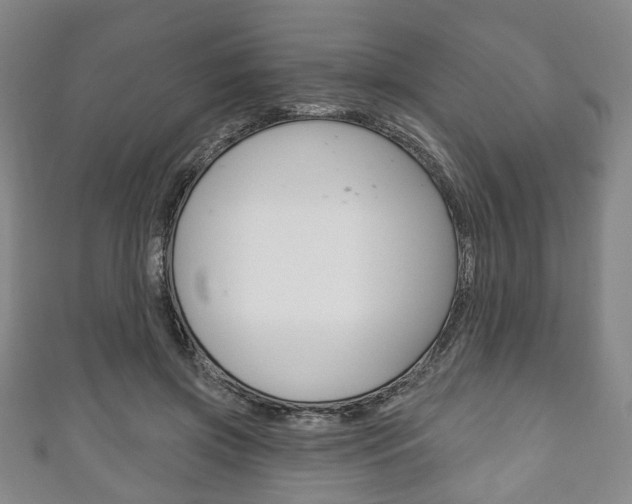 X0000111240549200907021001