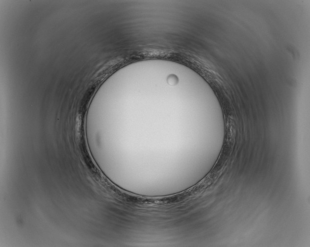 X0000111240550200907021001