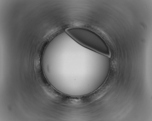 X0000111240552200907021001