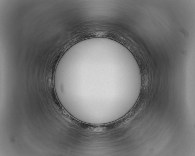 X0000111240553200907021001