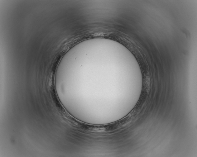 X0000111240554200907021001