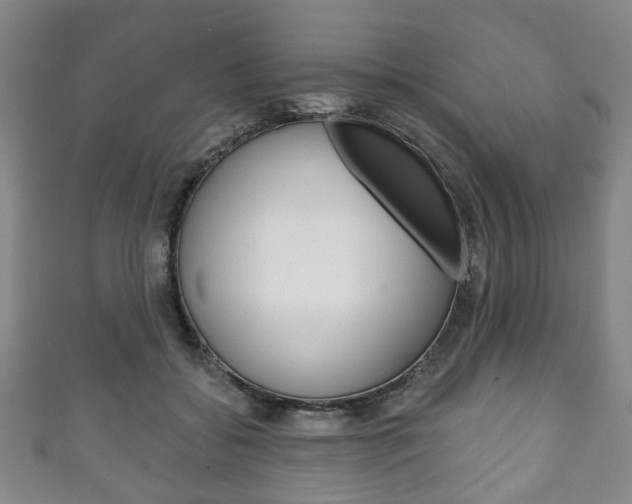 X0000111240556200907021001