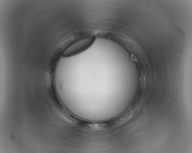 X0000111240558200907021001