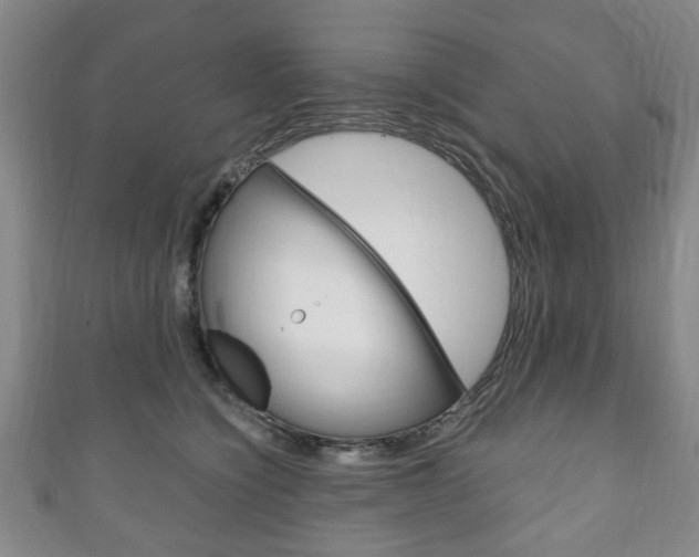X0000111240564200907021001