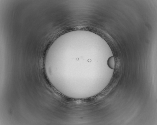 X0000111240565200907021001