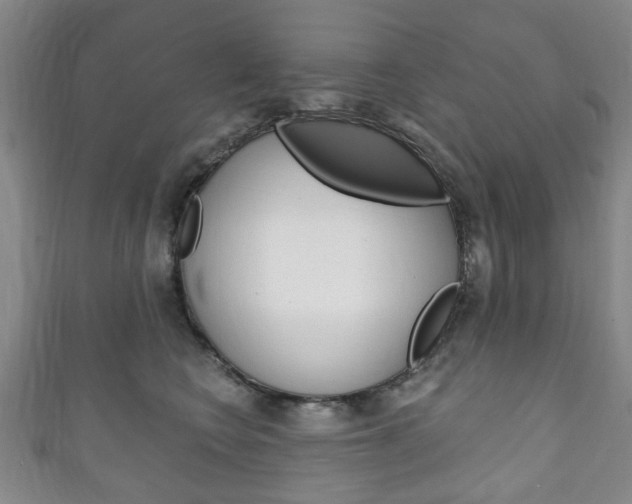 X0000111240566200907021001