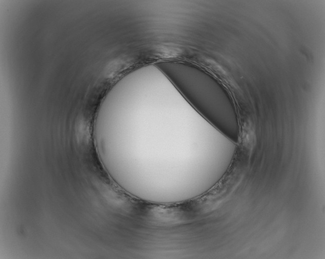 X0000111240568200907021001