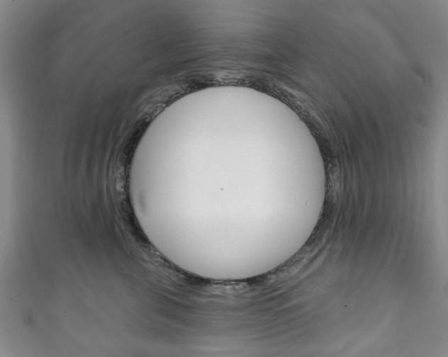 X0000111240571200907021001