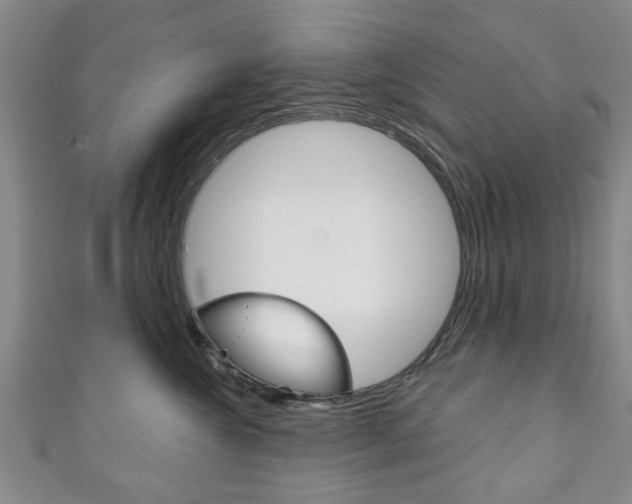 X0000111240572200907021001