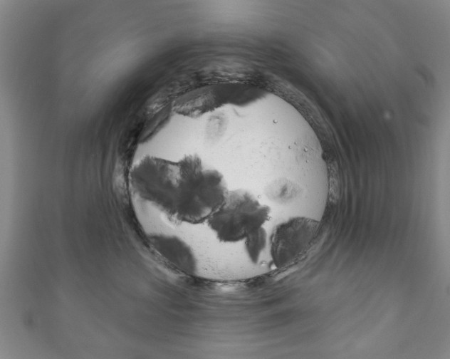 X0000111240573200907021001