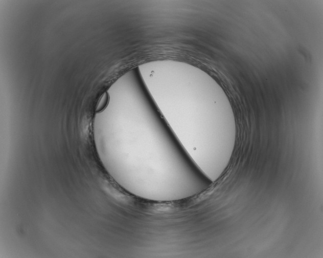 X0000111240574200907021001