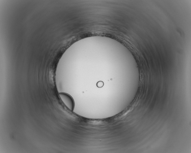 X0000111240575200907021001