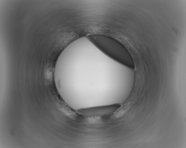 X0000111240576200907021001