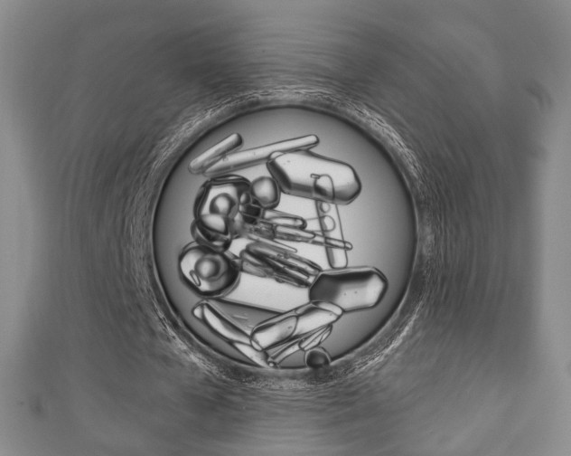 X0000111240577200907021001