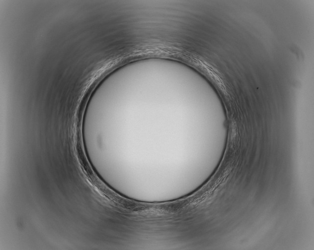 X0000111240578200907021001