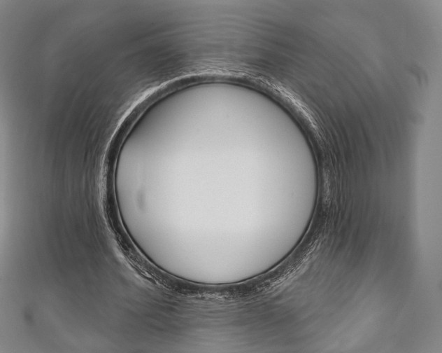 X0000111240580200907021001