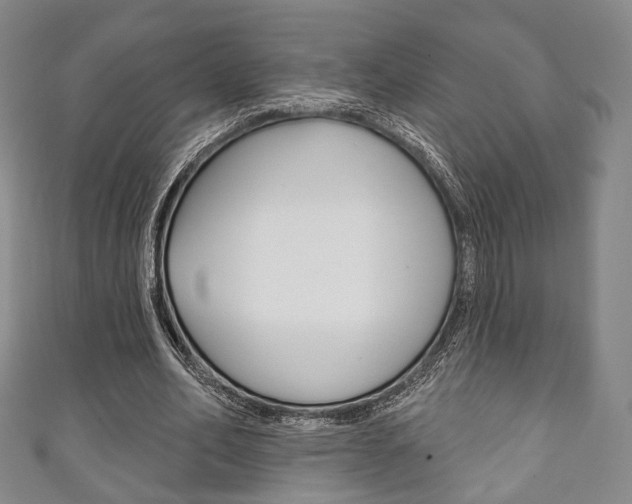 X0000111240582200907021000