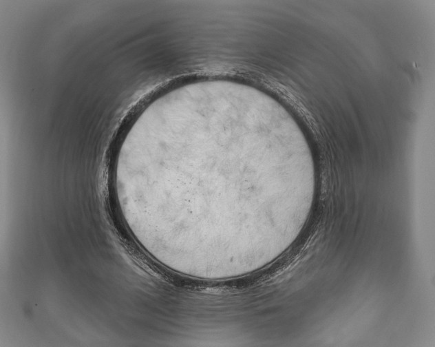 X0000111240584200907021000