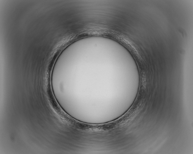 X0000111240586200907021000