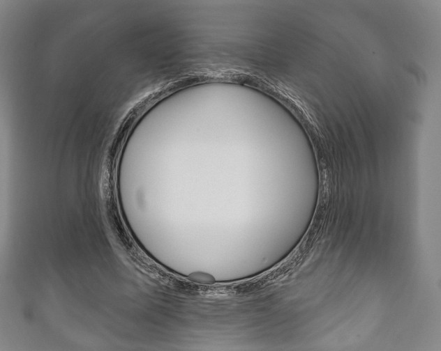 X0000111240587200907021000