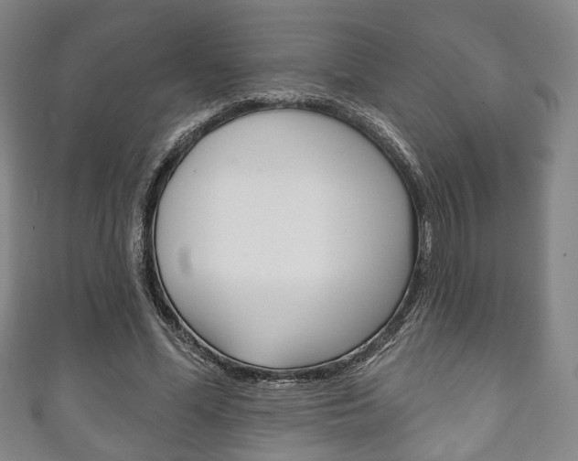 X0000111240588200907021000