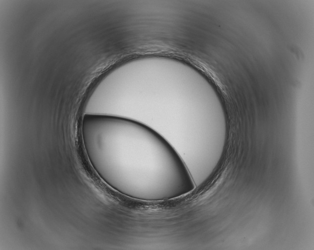 X0000111240589200907021000