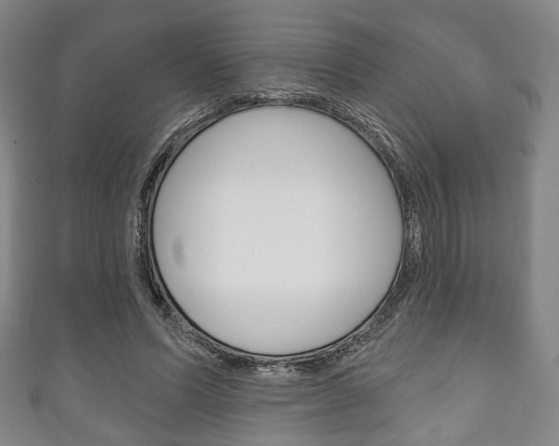X0000111240591200907021000