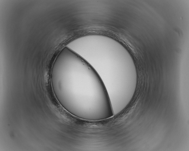 X0000111240597200907021000