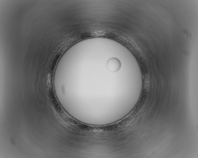 X0000111240598200907021000