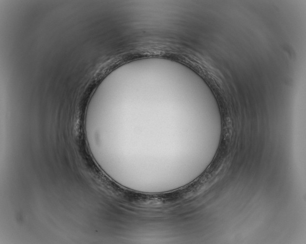 X0000111240600200907021000