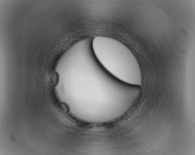 X0000111240601200907021000