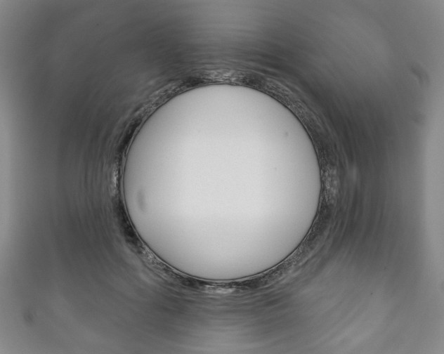 X0000111240602200907021000