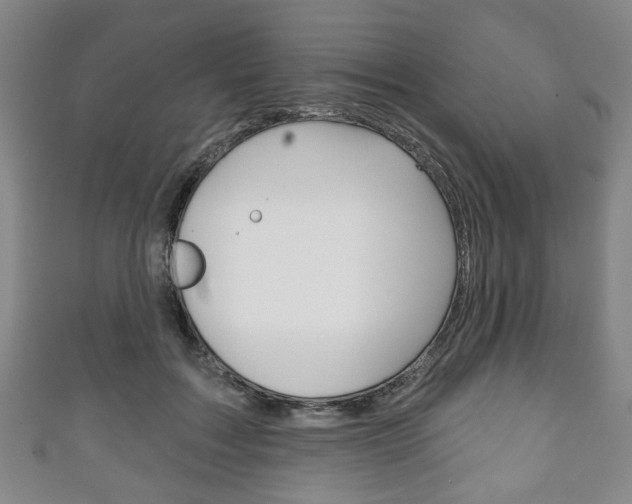 X0000111240603200907021000