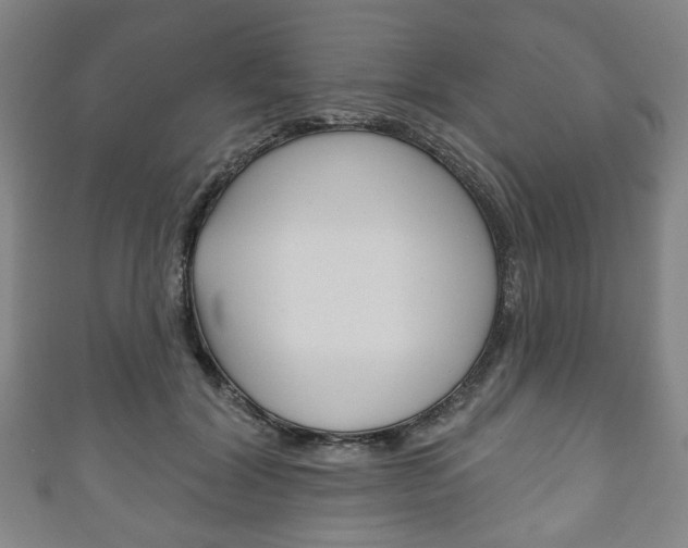 X0000111240604200907021000