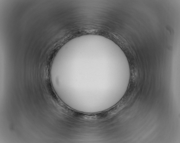 X0000111240606200907021000
