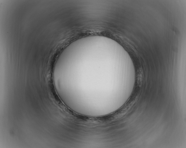 X0000111240608200907021000