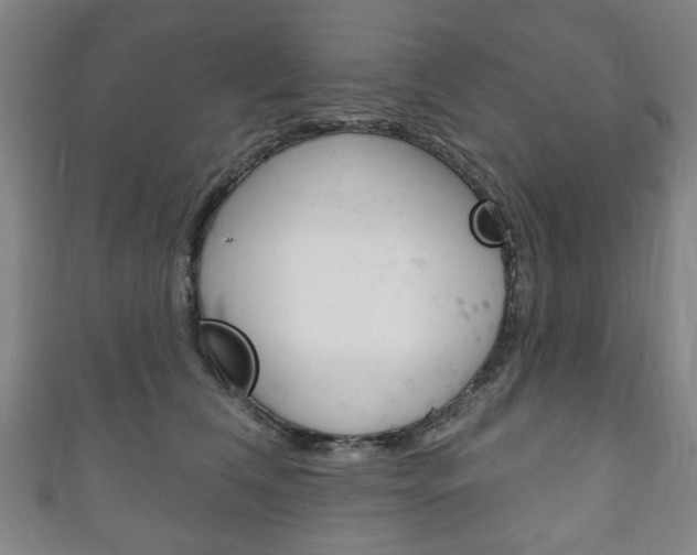 X0000111240612200907021000