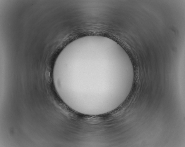 X0000111240615200907021000