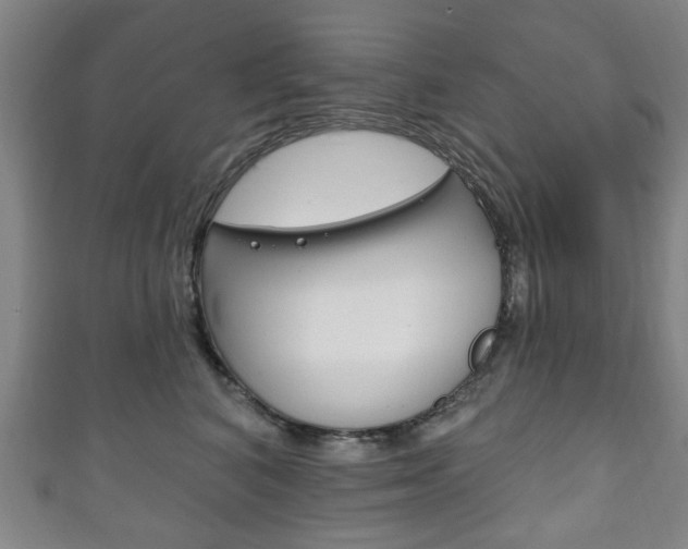 X0000111240616200907021000