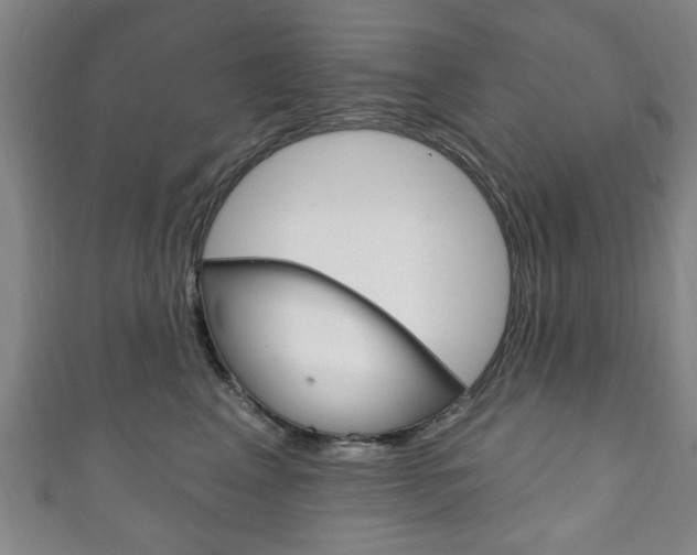 X0000111240617200907021000