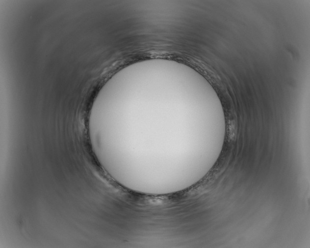 X0000111240618200907021000