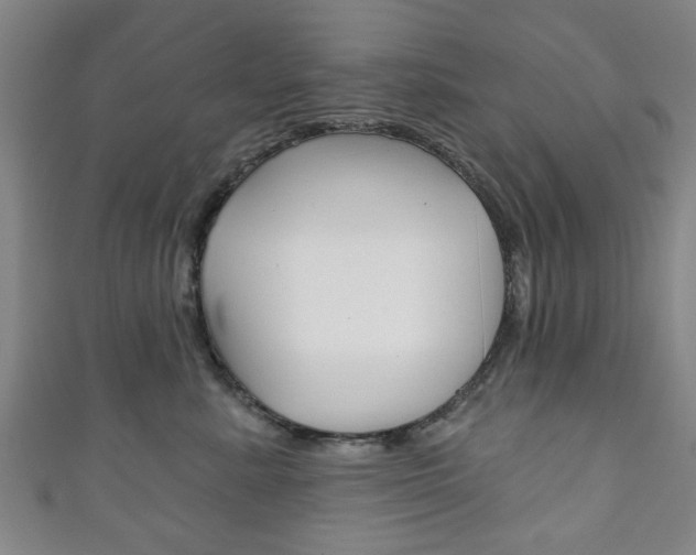 X0000111240619200907021000