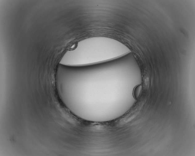 X0000111240620200907021000
