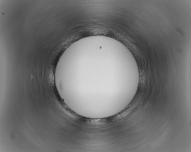 X0000111240622200907021000