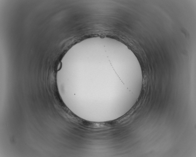 X0000111240623200907021000